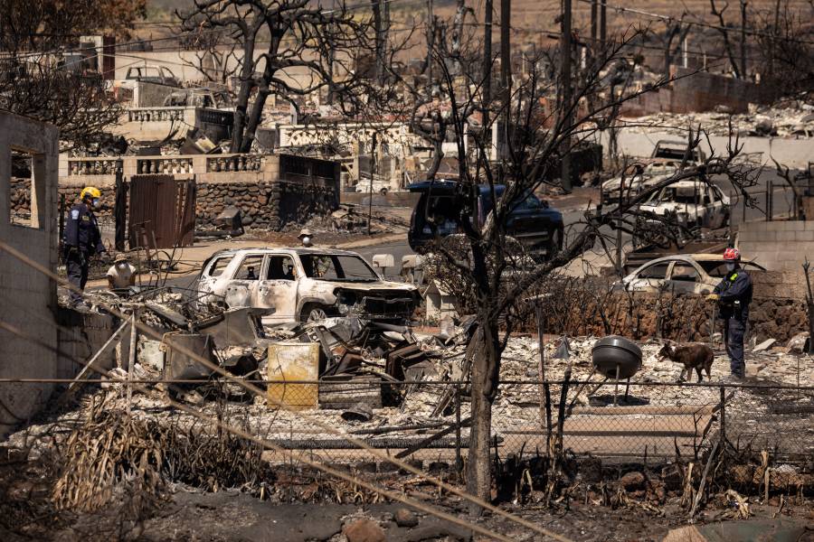 حرائق الغابات في أميركا الأسوأ منذ قرن