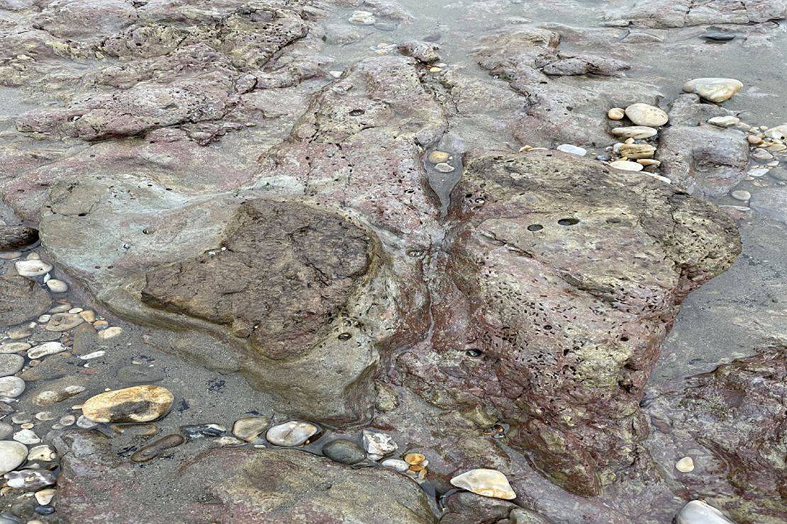 اكتشاف آثار أقدام الديناصورات على الشاطئ بجوار مقهى وموقف للسيارات ومحطة للحافلات في جزيرة وايت بإنجلترا