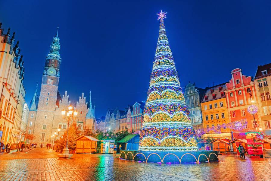 شجرة عيد الميلاد مضيئة في الساحة المركزية في فروتسواف، بولندا